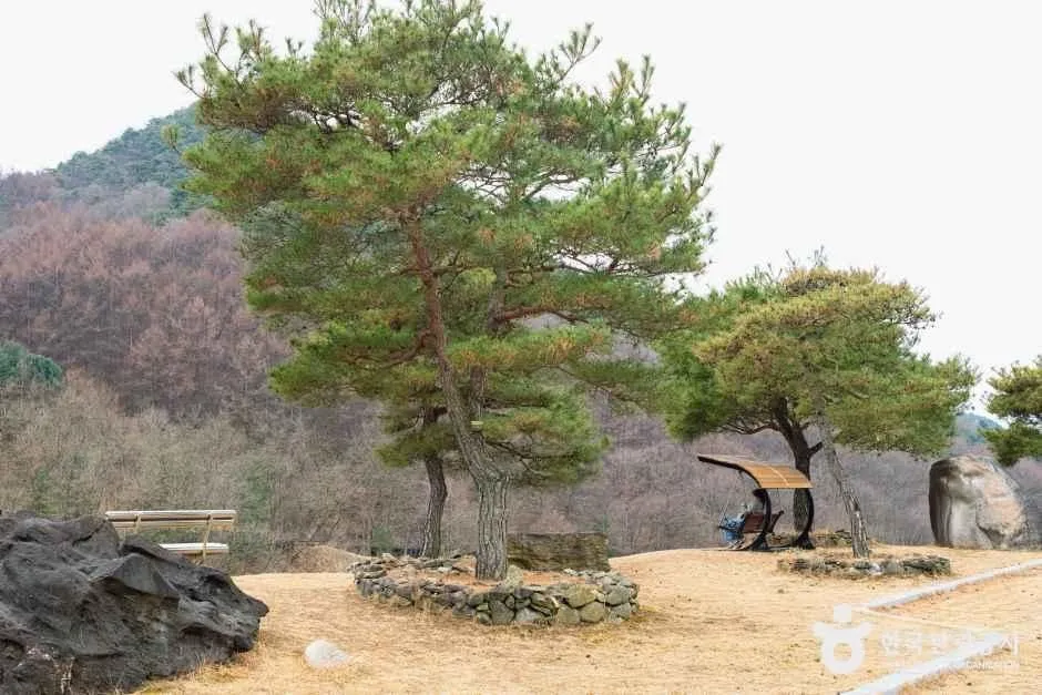 성불산자연휴양림 잔디 언덕의 소나무와 그 아래 벤치 쉼터, 큰 바위