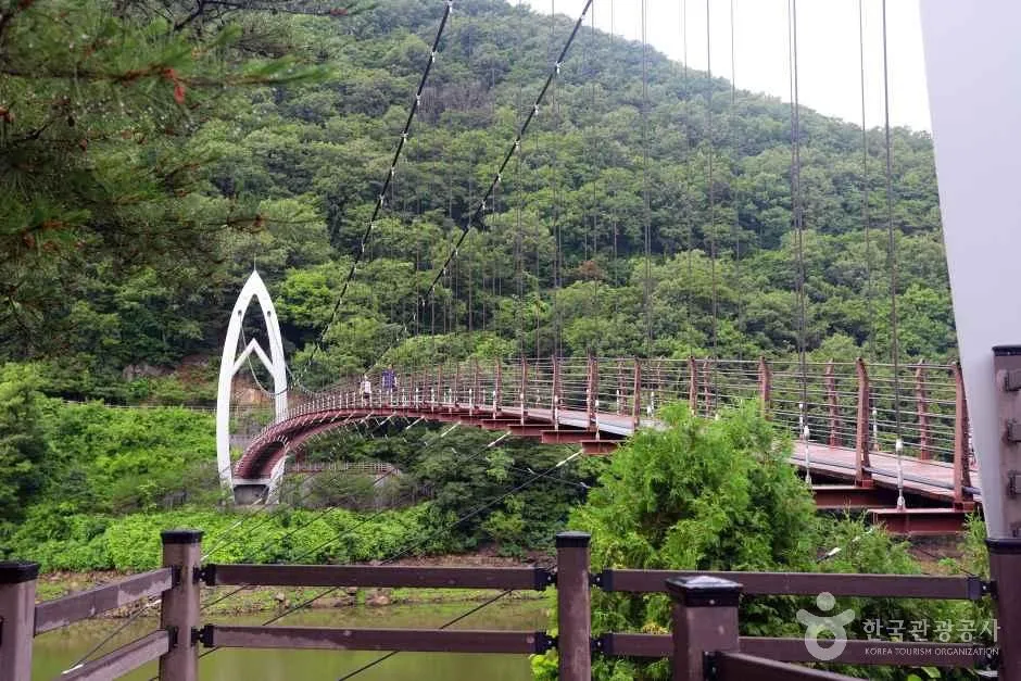 데크 난간 너머로 보이는 흰 아치형 주탑과 숲 사이로 이어진 연하협구름다리