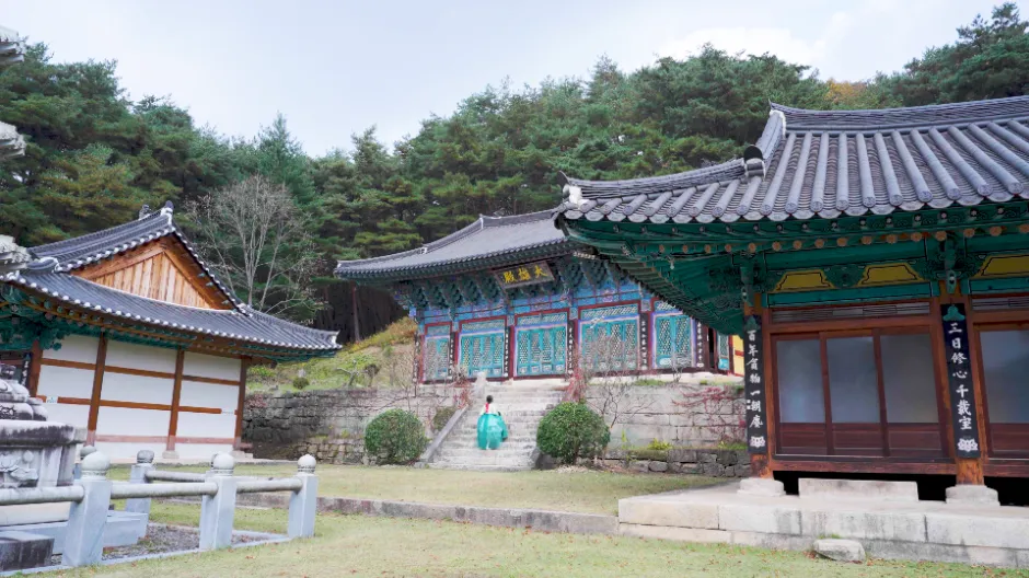 돌계단 위에 선 공림사 대웅전과 뒤편 숲