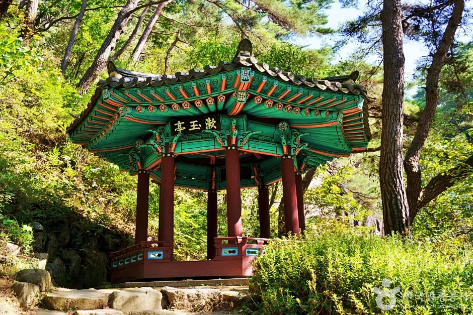 소나무 숲 속 '漱玉亭' 현판이 걸린 초록 단청의 팔각정 수옥정