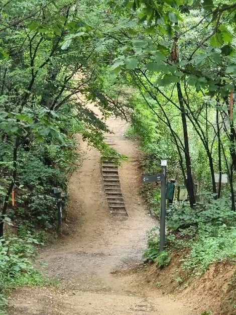 일자산 등산코스 — 강동구 134m 능선 실측과 GPX 내려받기