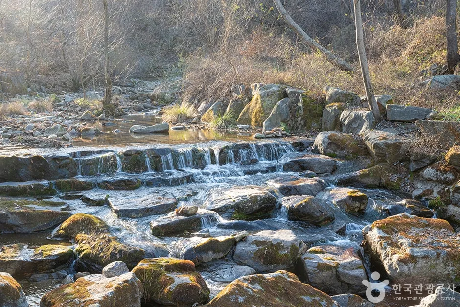 가평 유명산 등산코스 — 계곡 원점회귀·소요시간·주차 실측