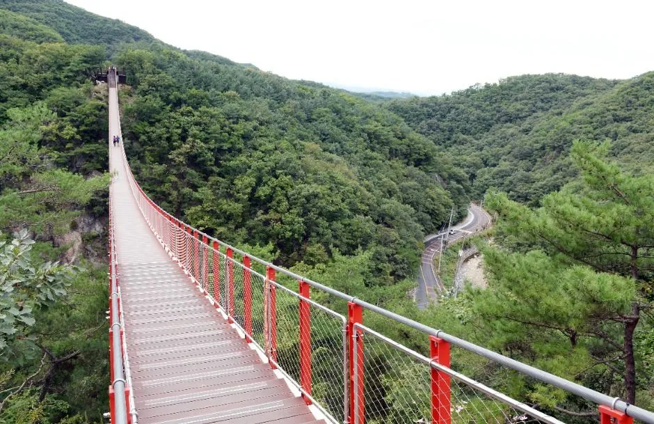 감악산 초보 등산코스 — 출렁다리 지나 정상까지 실측 비교