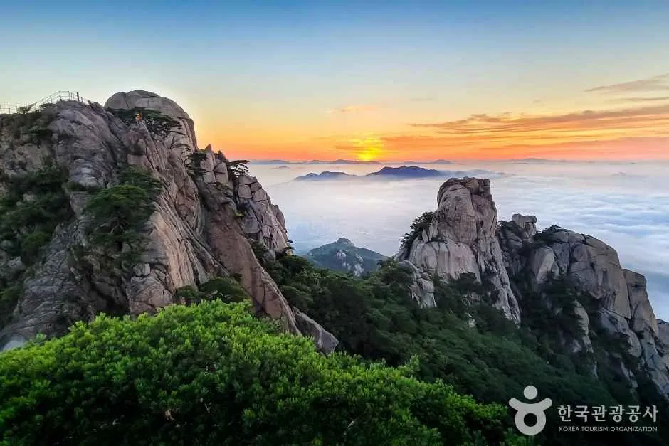 도봉산 초보 등산코스 — 도봉산역 기점 신선대 왕복 실측 비교