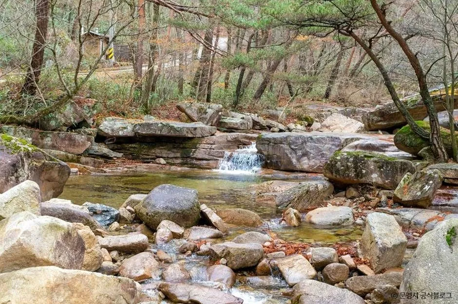 대야산 등산코스 — 용추계곡 원점회귀 실측과 GPX 내려받기