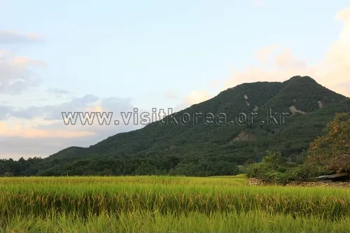 배태망설 종주 완전 가이드 — 코스 순서·거리·소요시간·탈출로·GPX