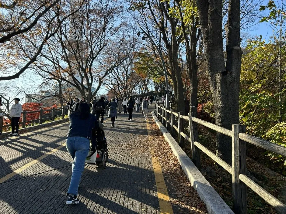 서울 반나절 등산 코스 6곳 — 실측 2시간 안팎 기록 비교