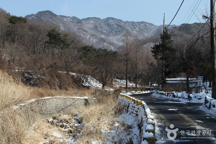청계산 초보 등산코스 — 청계산입구역 원터골 원점회귀