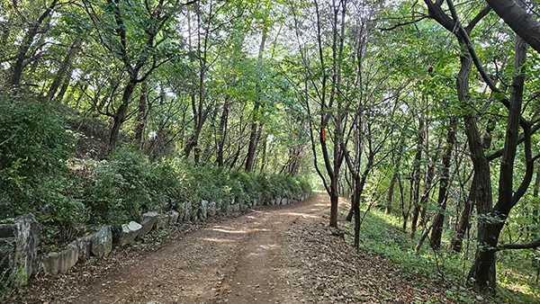 서울둘레길 2.0 10코스 — 우면산 표지 사진