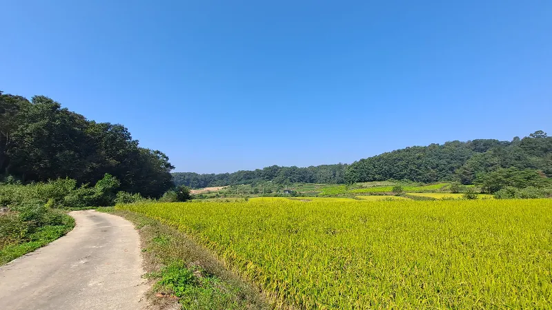 DMZ 평화의 길 10코스 표지 사진