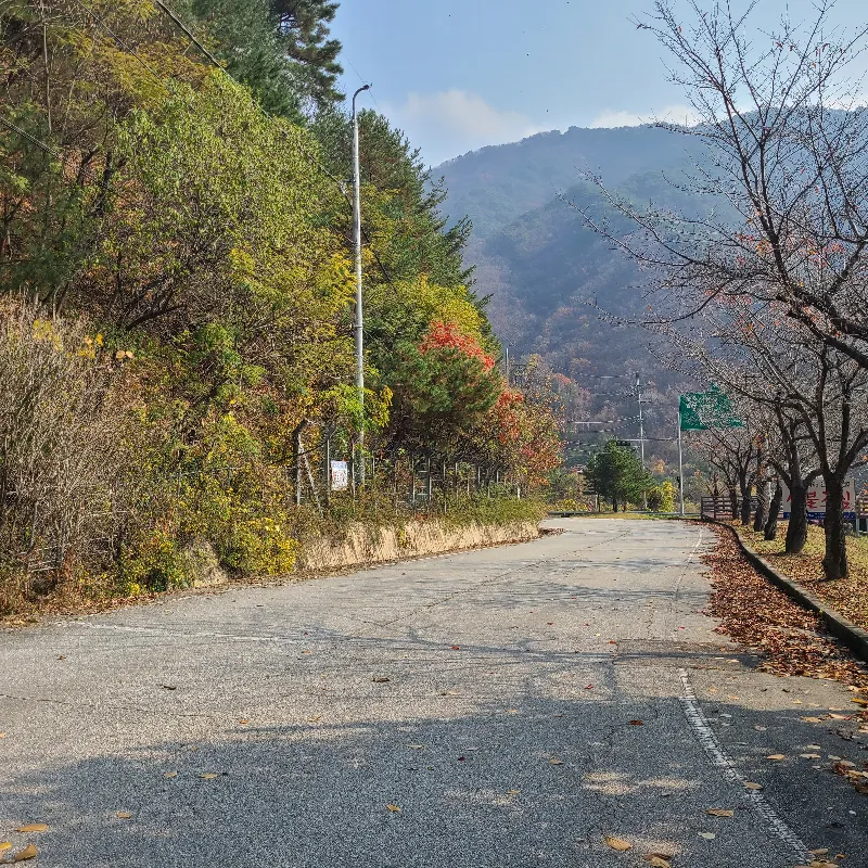 DMZ 평화의 길 24코스 표지 사진