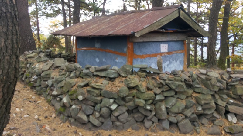 울트라 바우길 대표 사진