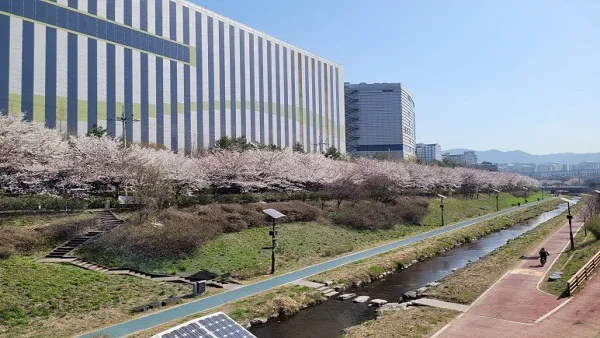 서울둘레길 2.0 8코스 — 장지·탄천 표지 사진