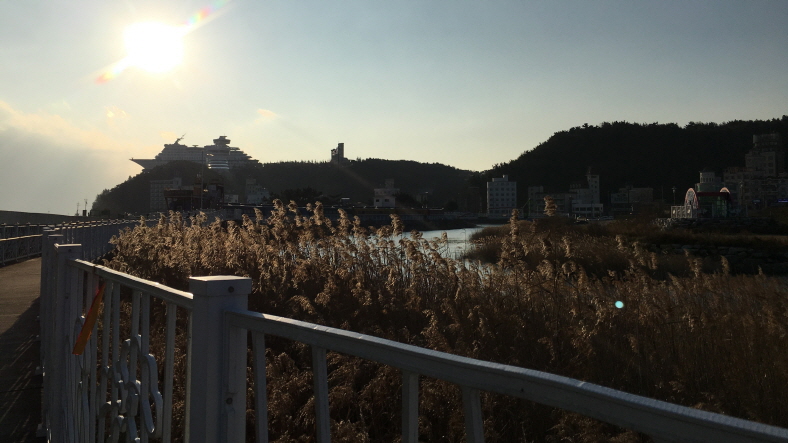 바우길 9코스 헌화로 산책길 대표 사진