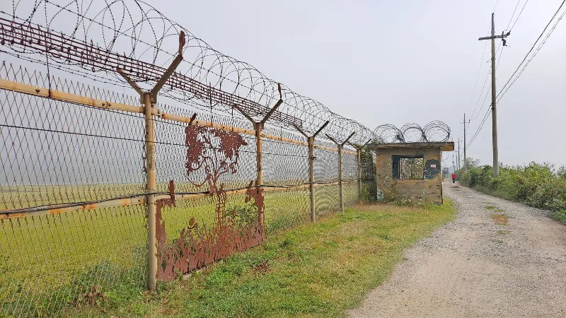 DMZ 평화의 길 8코스 (예약노선) 표지 사진