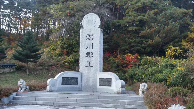 바우길 3코스 어명을 받은 소나무길 대표 사진