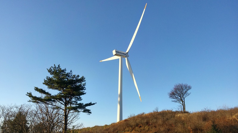 바우길 1코스 선자령 풍차길 대표 사진