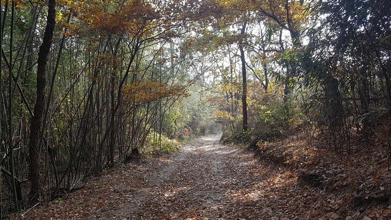 아름다운 순례길 5코스 표지 사진
