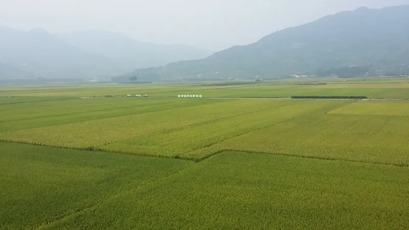 지리산둘레길 14코스(대축-원부춘) 표지 사진