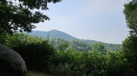 서울둘레길 2.0 4코스 — 망우·용마산 표지 사진