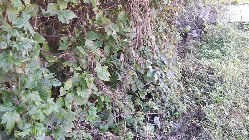 지리산둘레길 21코스(산동-주천) 표지 사진