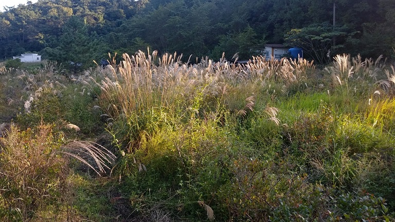 남파랑길 38코스 대표 사진
