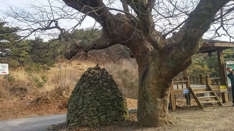 대청호오백리길 8구간 선비길 대표 사진