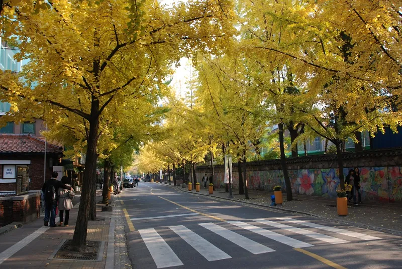 한양도성길 5코스 숭례문구간 표지 사진
