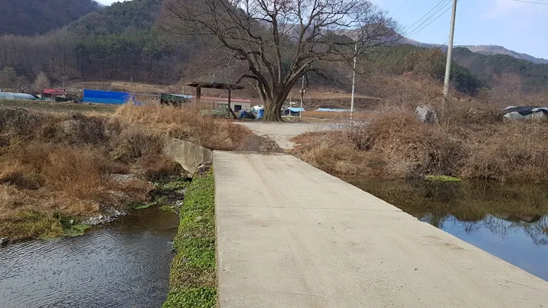 대청호오백리길 14구간 장고개구불길 대표 사진