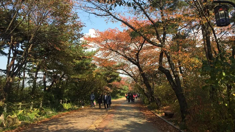 남산둘레길 한바퀴 대표 사진