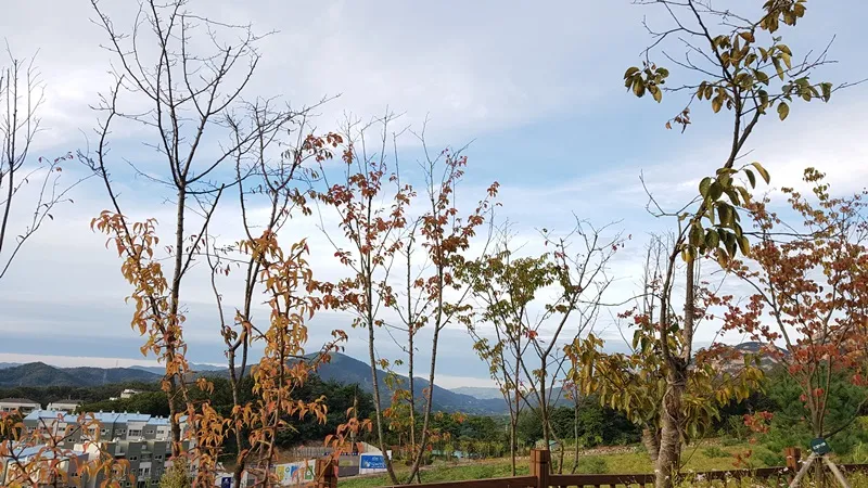 북한산둘레길 8코스 구름정원길 표지 사진
