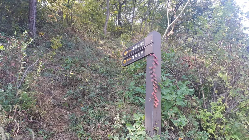 대청호오백리길 4구간 호반낭만길 대표 사진