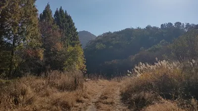대청호오백리길 9구간 지용향수길 표지 사진