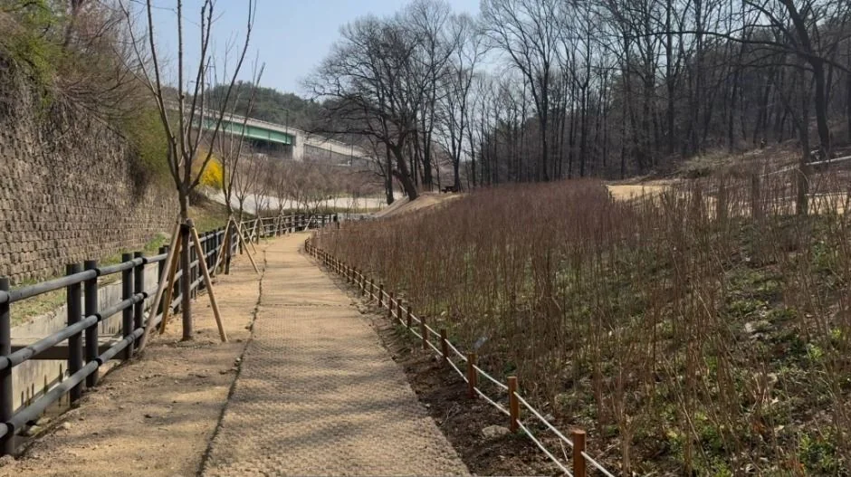 도정봉 4코스 대표 사진