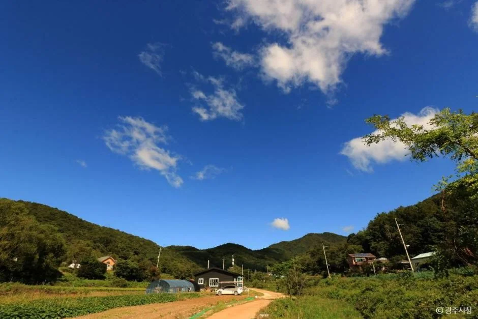 태화산 4코스 대표 사진