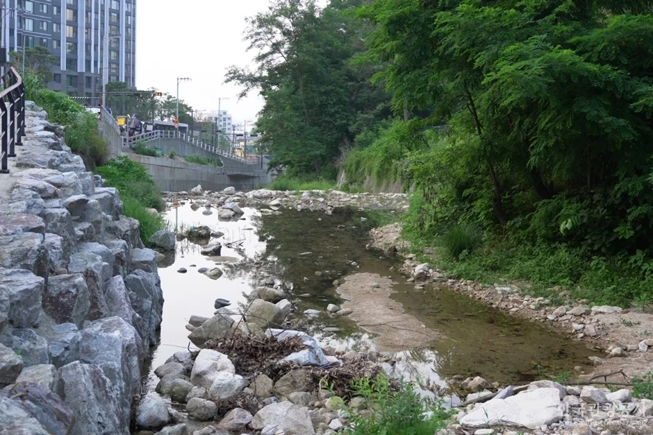 사패산(의정부) 1코스 대표 사진