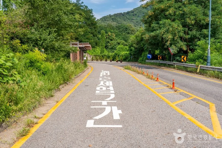 청계산(국사봉)(의왕) 1코스 대표 사진
