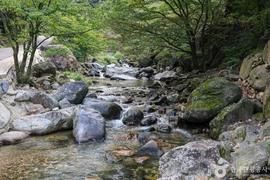 성두봉 1코스 대표 사진