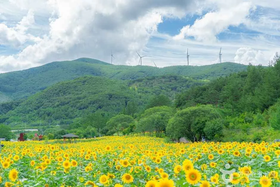우보산 3코스 대표 사진
