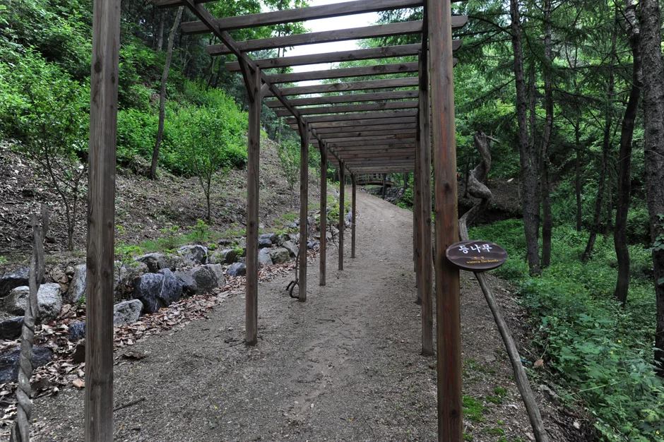 창안산 4코스 대표 사진
