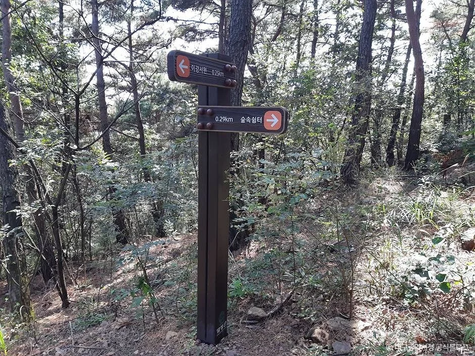 마천산 1코스 대표 사진