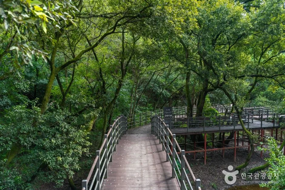 왕산 2코스 대표 사진