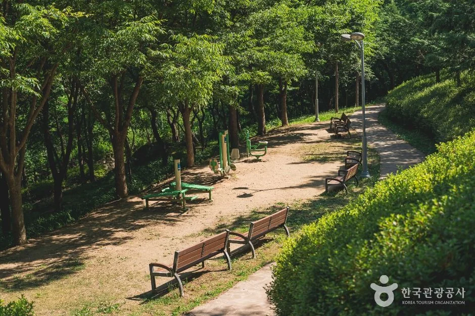 용지봉 5코스 대표 사진