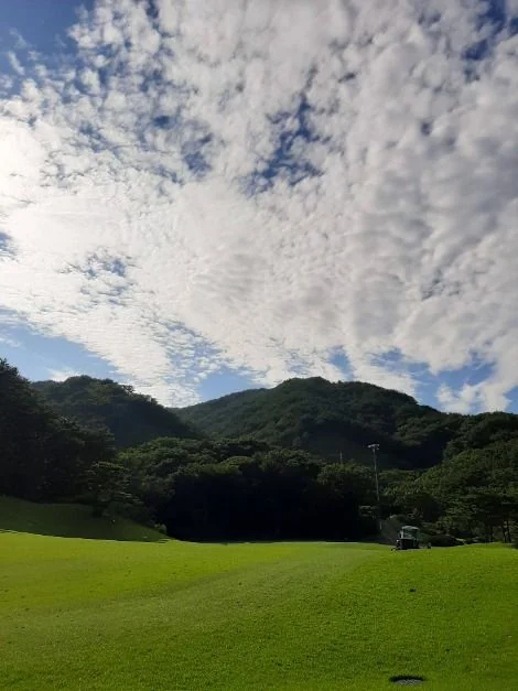 삼태봉 3코스 대표 사진