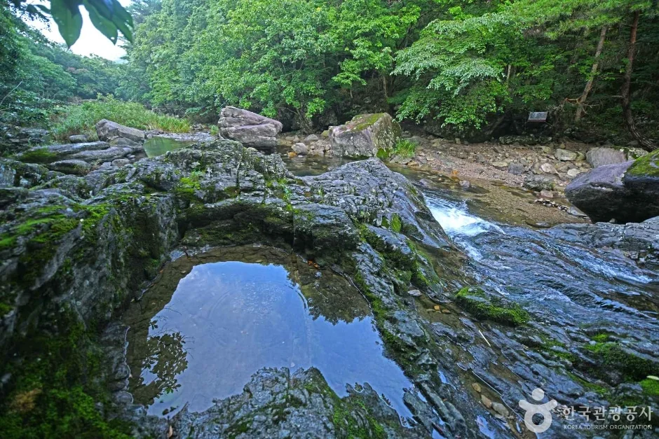 백암산 1코스 대표 사진