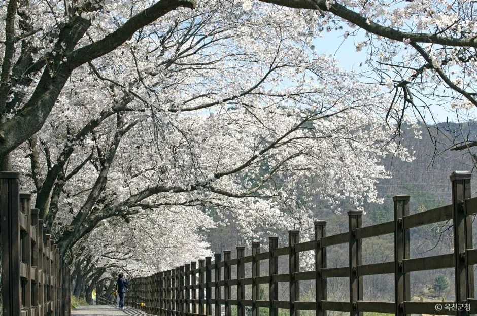 마성산 1코스 대표 사진