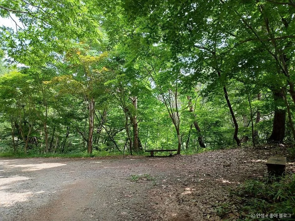 암산(청룡봉) 5코스 대표 사진