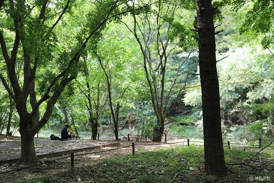 법주사입구 1코스 대표 사진