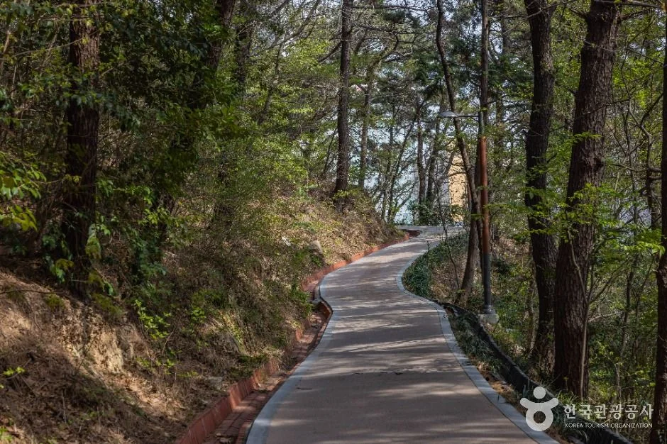 동매산 4코스 대표 사진