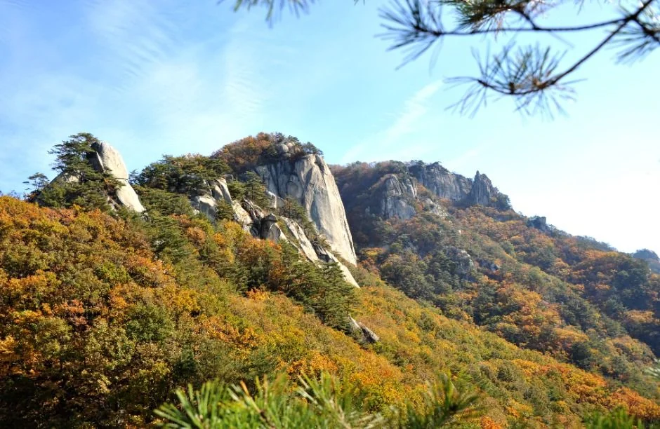 용화산 3코스 대표 사진
